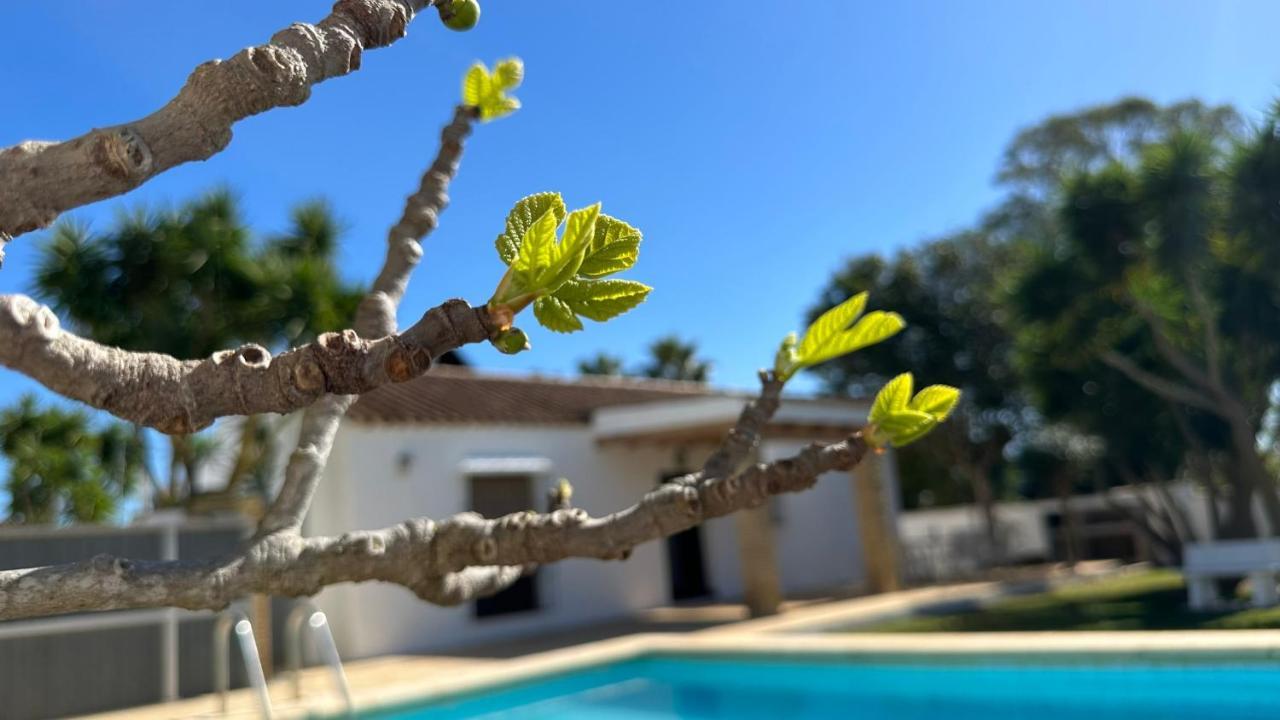 Vivienda Rural Atlantico Sur & Familias Konuk evi Conil De La Frontera Dış mekan fotoğraf