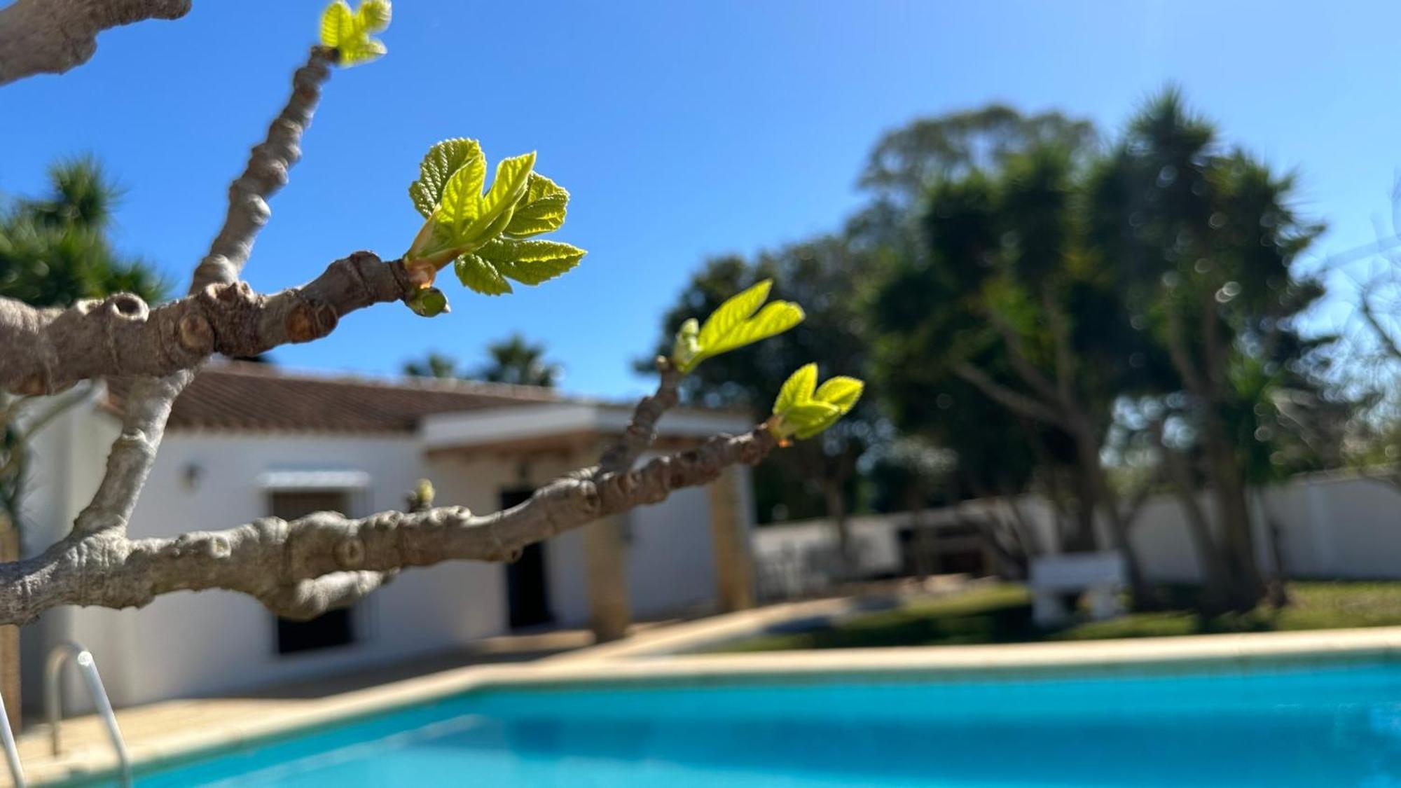 Vivienda Rural Atlantico Sur & Familias Konuk evi Conil De La Frontera Dış mekan fotoğraf